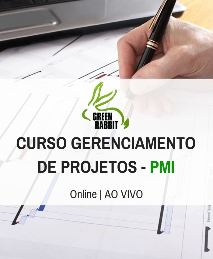 Curso Gerenciamento de Projetos - PMI (Online / Ao Vivo) Imagem 1