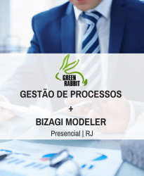 Gestão de Processos BPM  + Modelagem e Análise com Bizagi (RJ)
